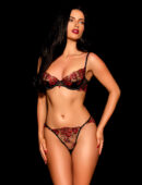 Bonita Brief