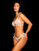 Lucinda Ivory Brief
