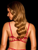Rosaline Red Bra & Bottom Lingerie Set