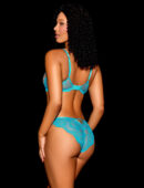Whitney Ocean Brief